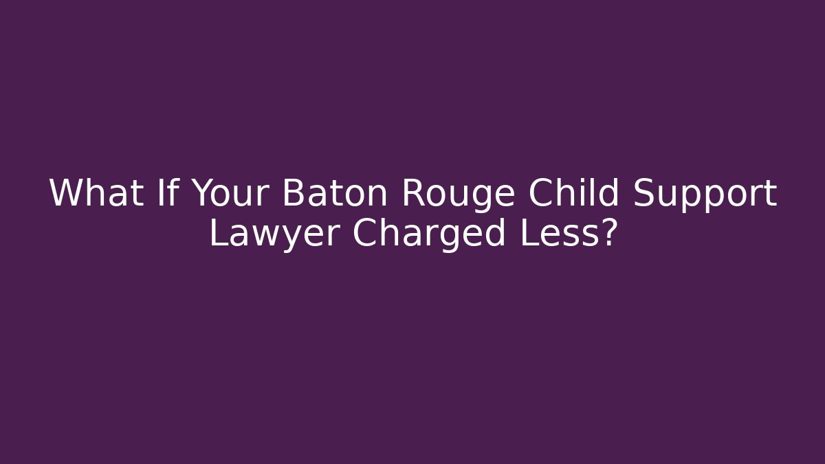 What If Your Baton Rouge Child Support Lawyer Charged Less?