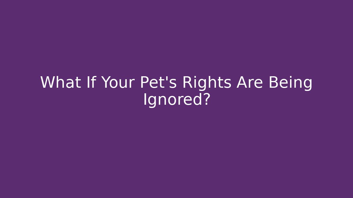 What If Your Pet’s Rights Are Being Ignored?