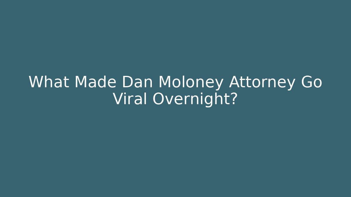 What Made Dan Moloney Attorney Go Viral Overnight? - V Auction