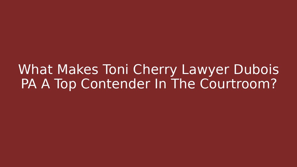 What Makes Toni Cherry Lawyer Dubois PA A Top Contender In The Courtroom?