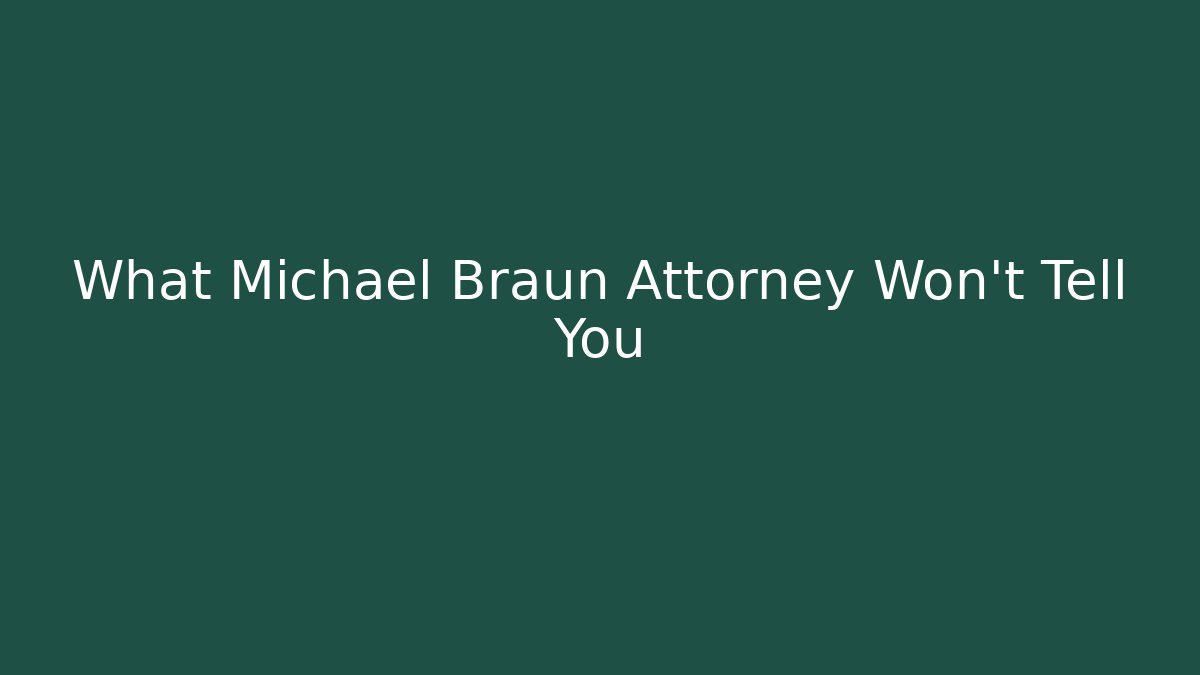 What Michael Braun Attorney Won't Tell You - V Auction