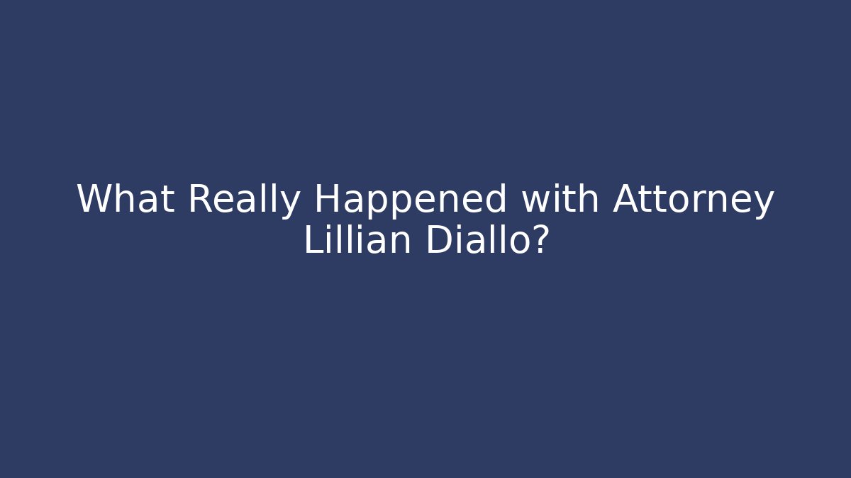 What Really Happened with Attorney Lillian Diallo? - V Auction