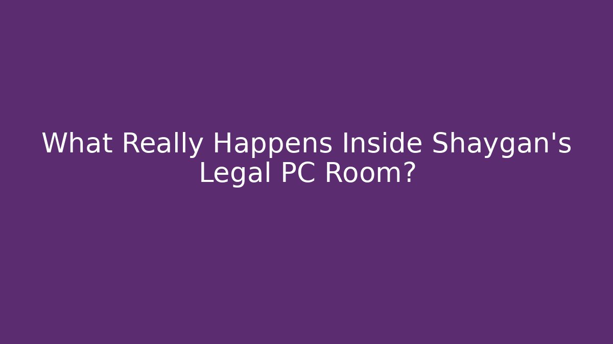 What Really Happens Inside Shaygan's Legal PC Room?