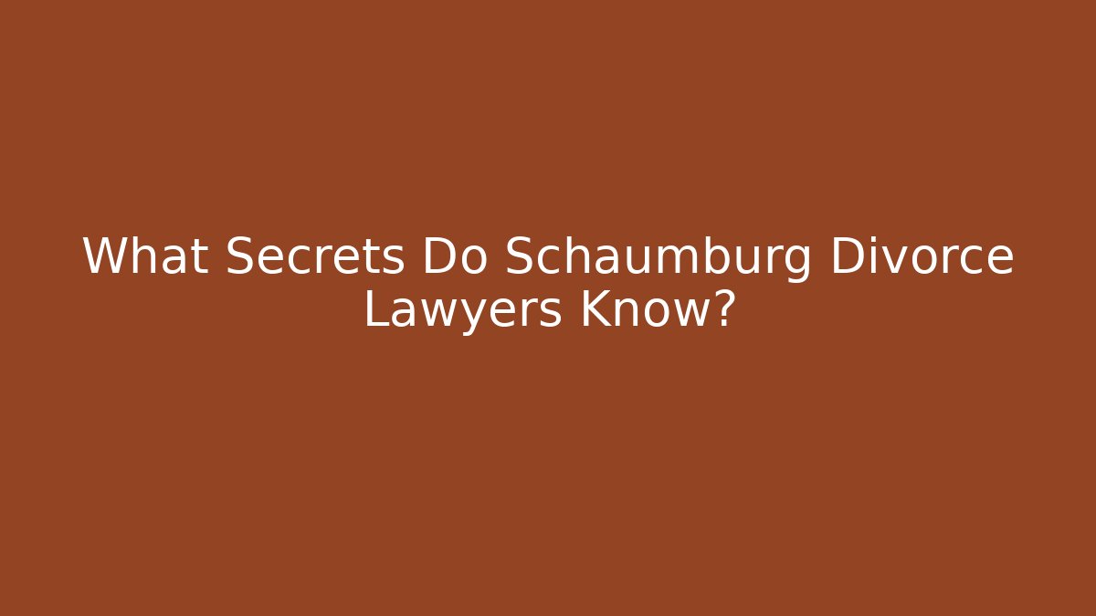 What Secrets Do Schaumburg Divorce Lawyers Know? - V Auction