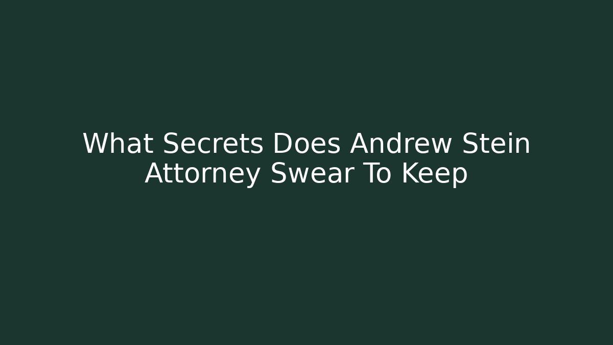 What Secrets Does Andrew Stein Attorney Swear To Keep - V Auction