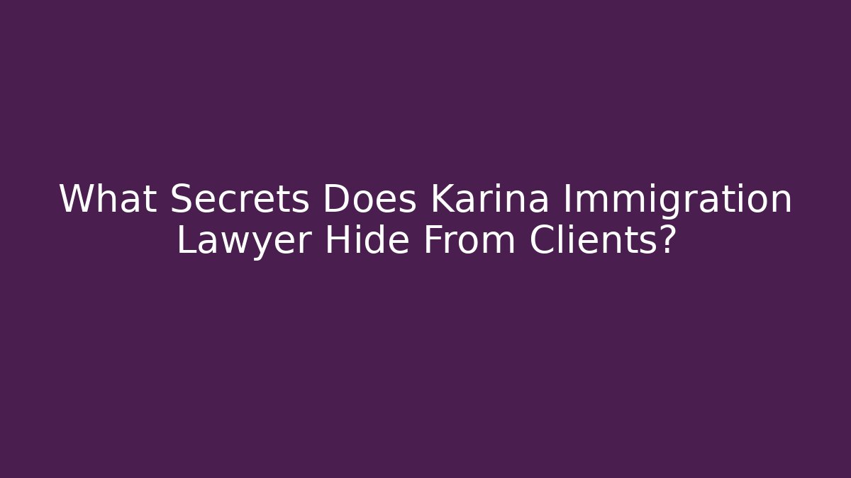 What Secrets Does Karina Immigration Lawyer Hide From Clients? - V Auction