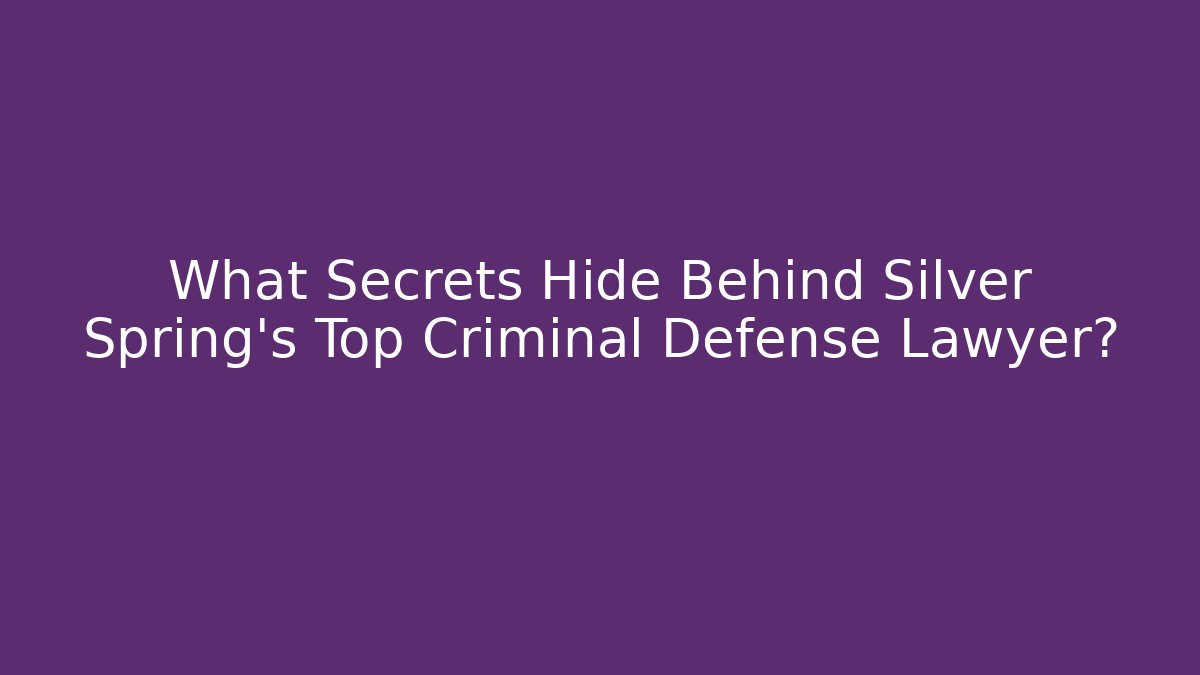 What Secrets Hide Behind Silver Spring's Top Criminal Defense Lawyer? - V Auction