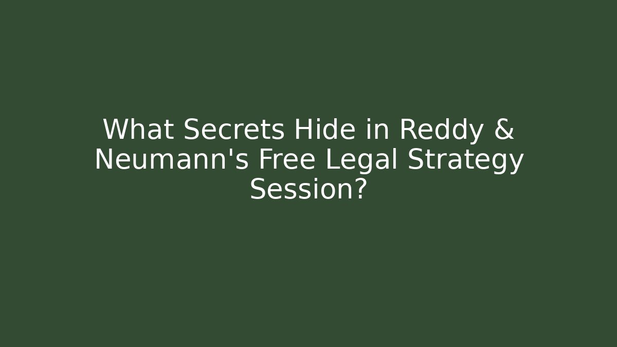 What Secrets Hide in Reddy & Neumann's Free Legal Strategy Session? - V Auction