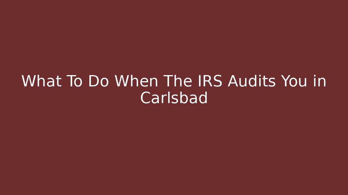 What To Do When The IRS Audits You in Carlsbad - V Auction
