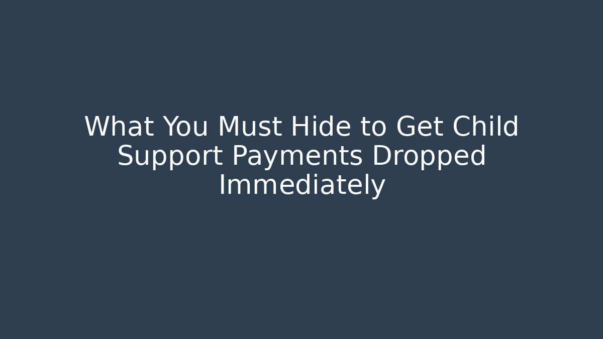 What You Must Hide to Get Child Support Payments Dropped Immediately - V Auction