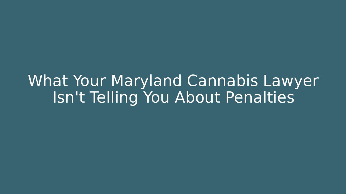 What Your Maryland Cannabis Lawyer Isn’t Telling You About Penalties