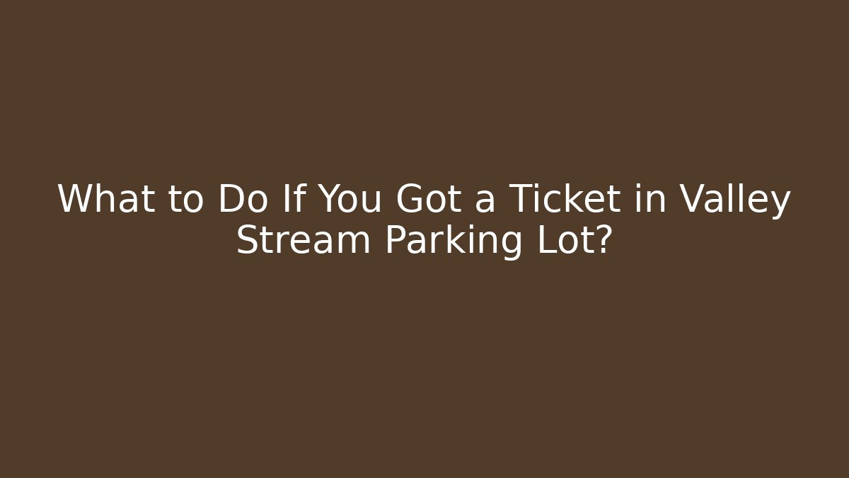 What to Do If You Got a Ticket in Valley Stream Parking Lot?