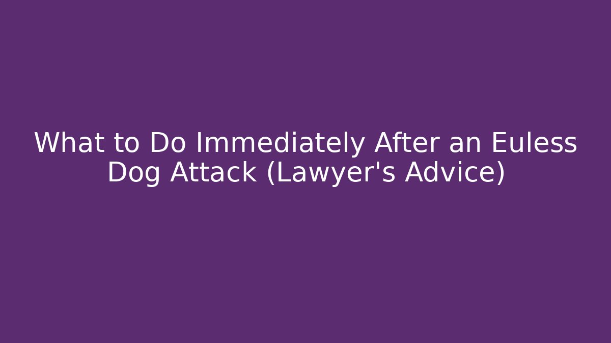 What to Do Immediately After an Euless Dog Attack (Lawyer’s Advice) - V Auction