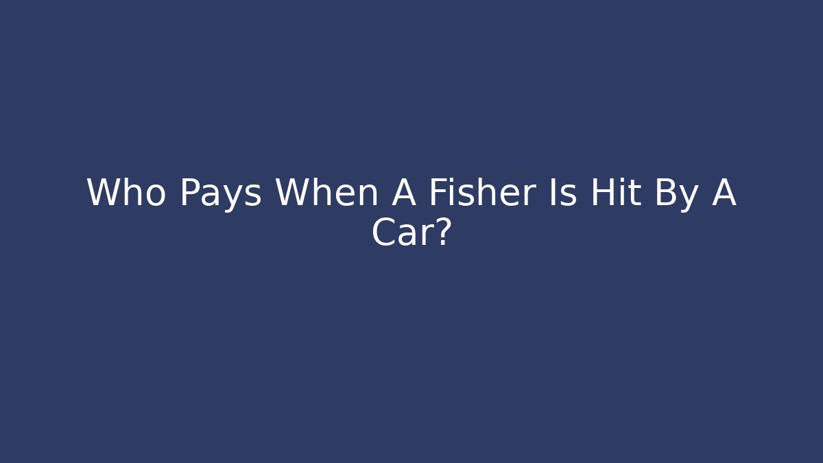 Who Pays When A Fisher Is Hit By A Car?