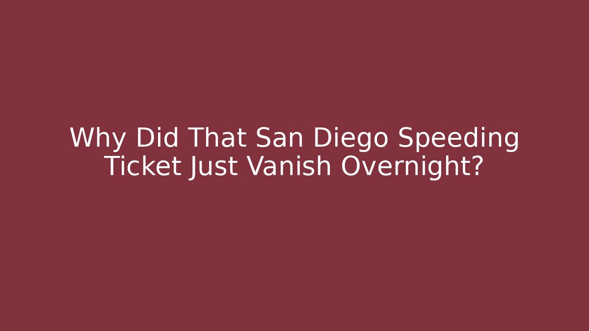 Why Did That San Diego Speeding Ticket Just Vanish Overnight? - V Auction