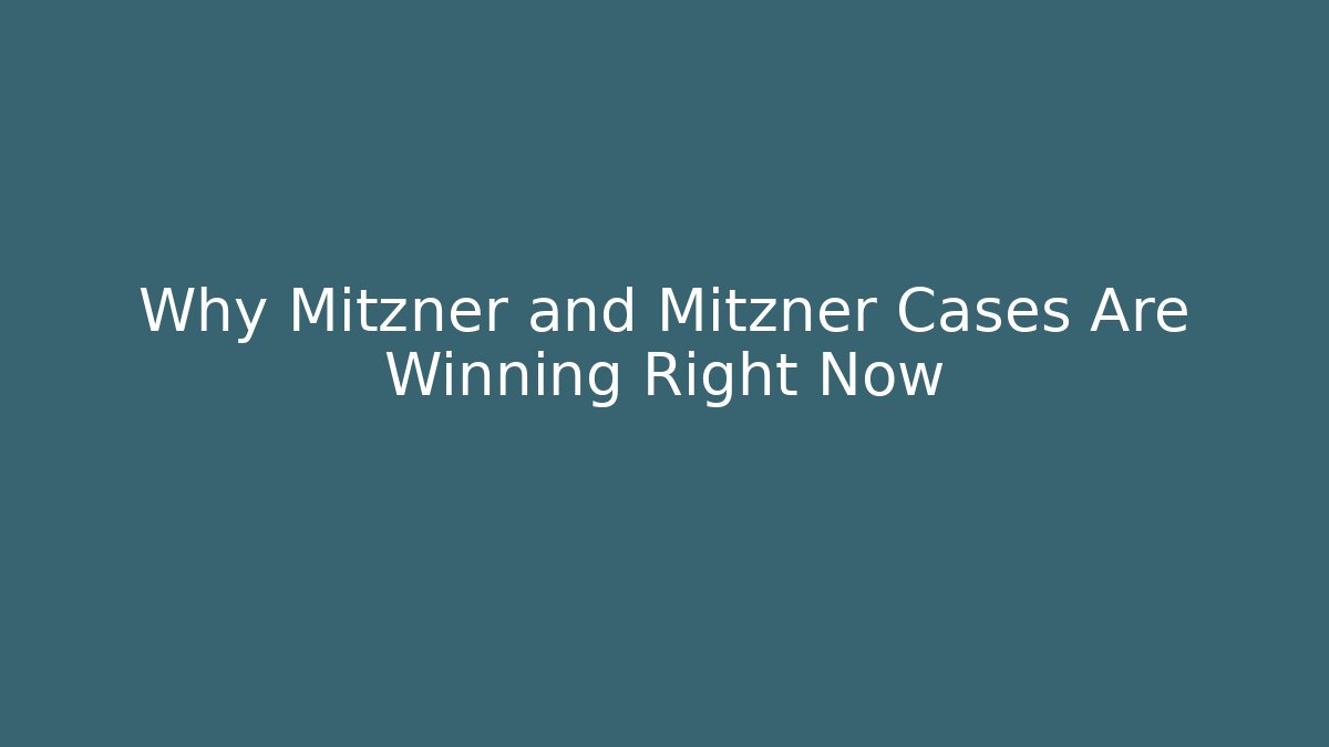 Why Mitzner and Mitzner Cases Are Winning Right Now - V Auction