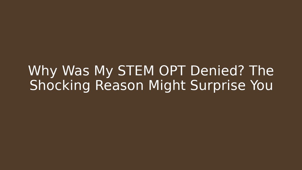 Why Was My STEM OPT Denied? The Shocking Reason Might Surprise You - V Auction
