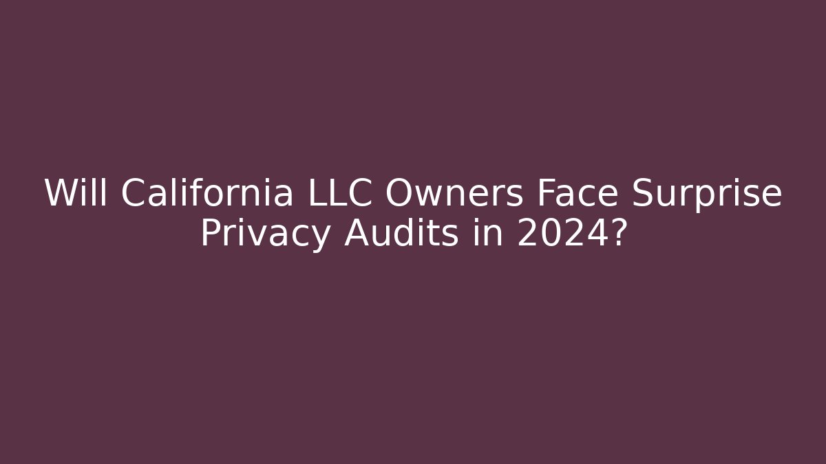 Will California LLC Owners Face Surprise Privacy Audits in 2024?