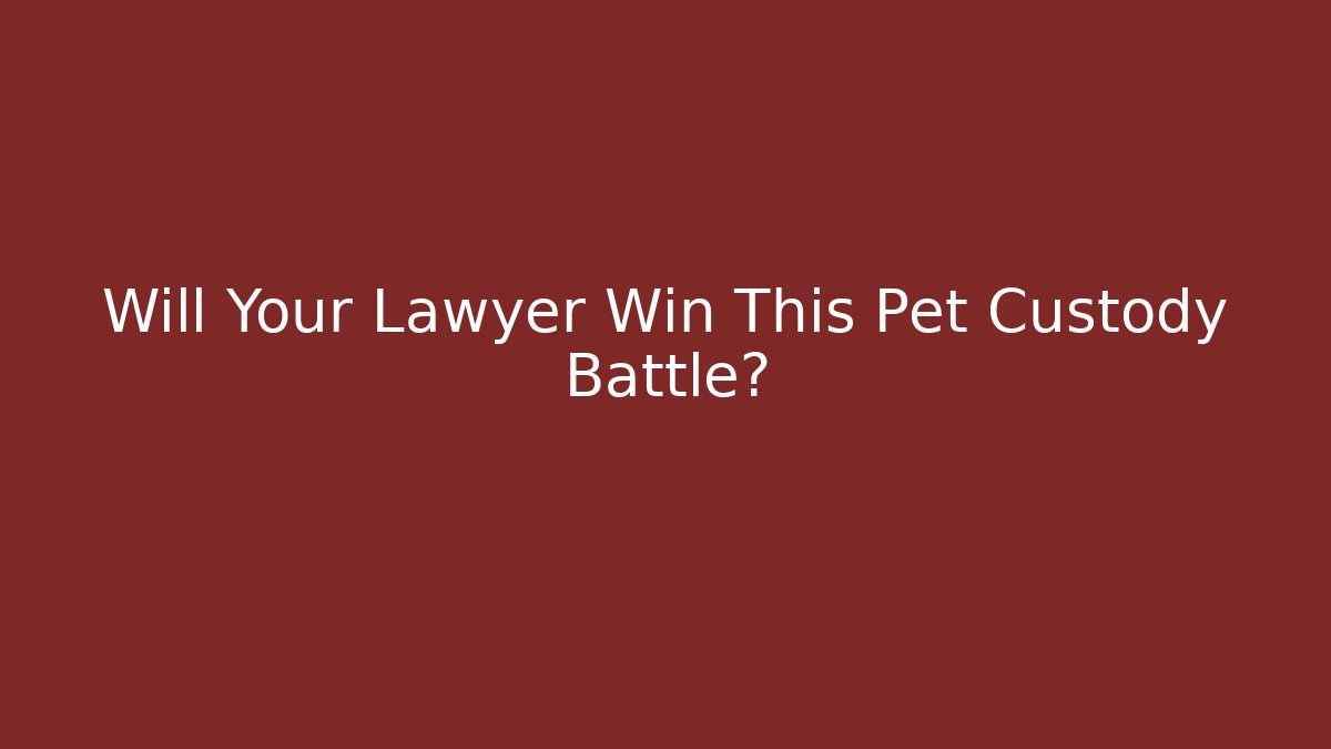 Will Your Lawyer Win This Pet Custody Battle? - V Auction