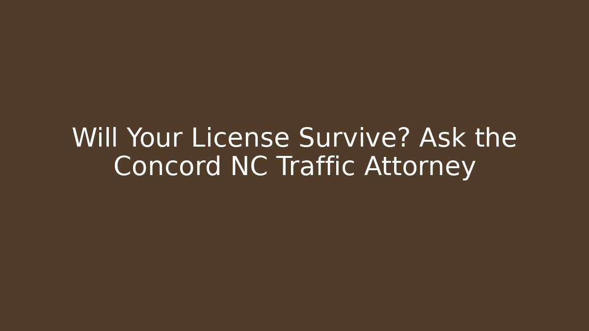 Will Your License Survive? Ask the Concord NC Traffic Attorney - V Auction