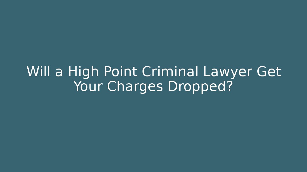 Will a High Point Criminal Lawyer Get Your Charges Dropped? - V Auction