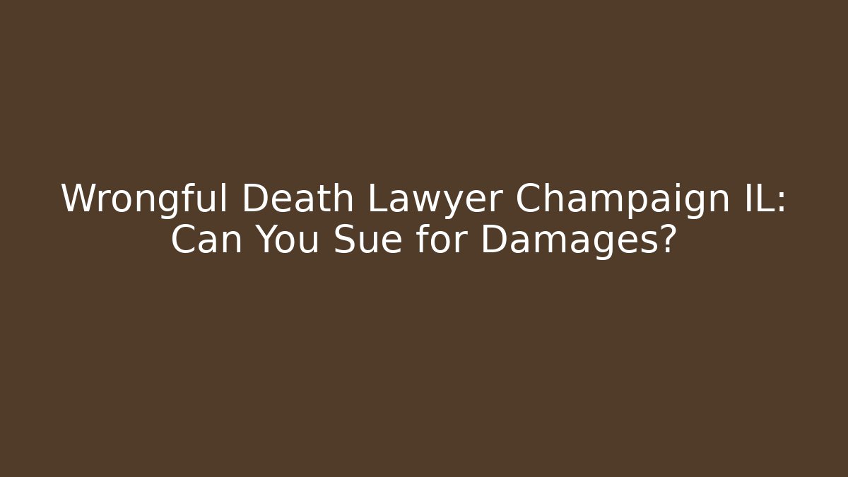 Wrongful Death Lawyer Champaign IL: Can You Sue for Damages? - V Auction