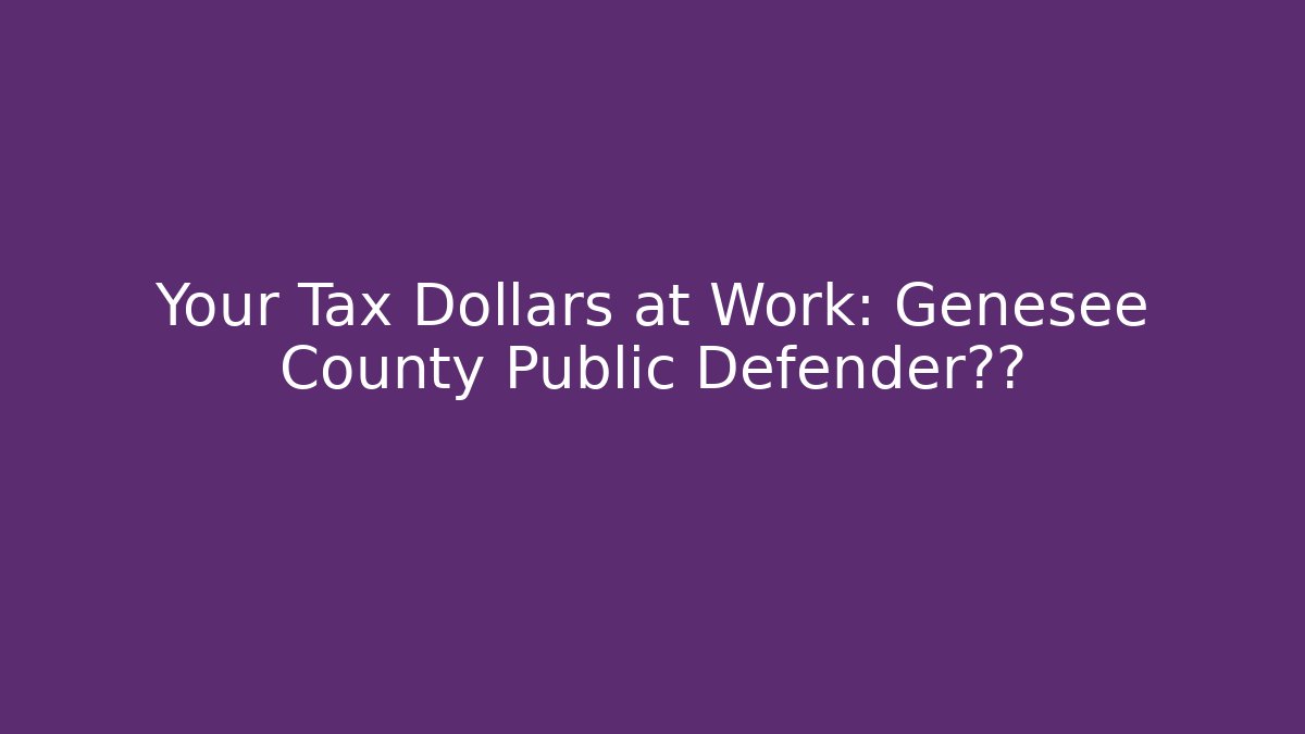 Your Tax Dollars at Work: Genesee County Public Defender曝光 - V Auction