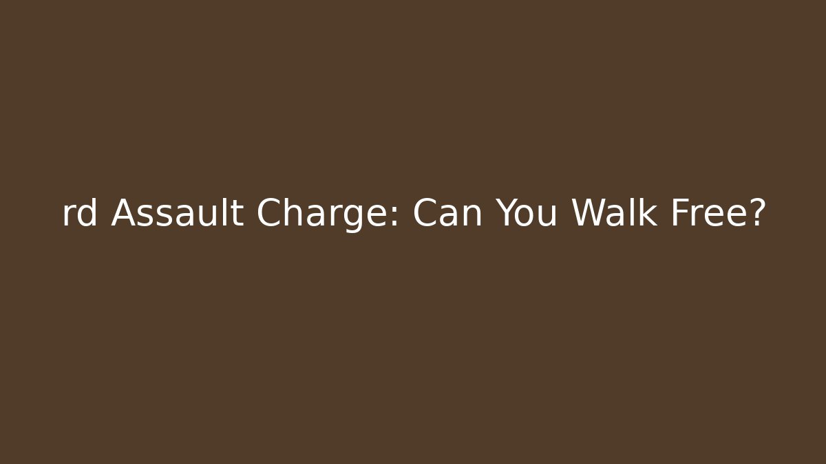 rd Assault Charge: Can You Walk Free? - V Auction